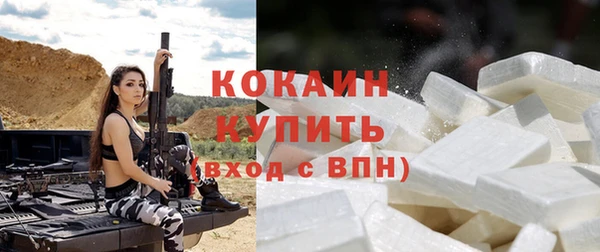 эйфоретик Бородино