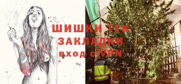 эйфоретик Бородино
