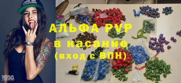 эйфоретик Бородино