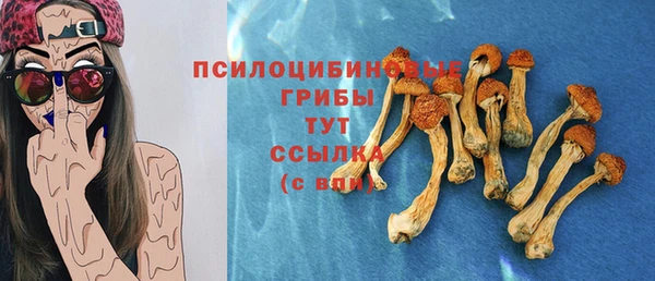 винт Бугульма