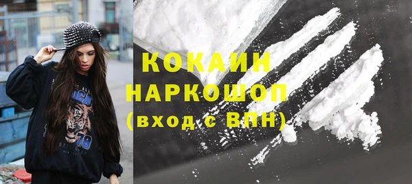 эйфоретик Бородино
