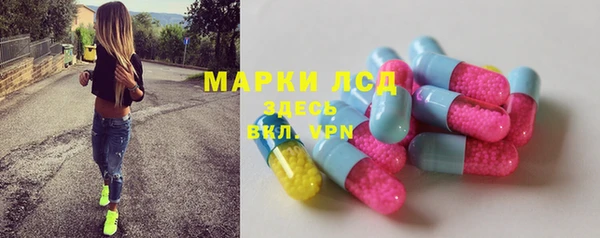 ПСИЛОЦИБИНОВЫЕ ГРИБЫ Богданович